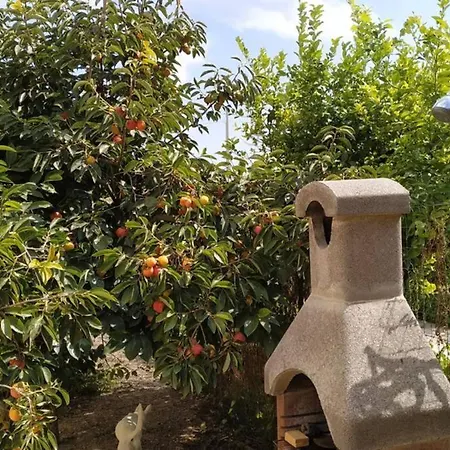 Bungalow 
